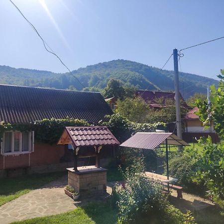 Borgaza Hotel Яремче Екстериор снимка